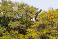 R5 2024-03-17-8369-Edit