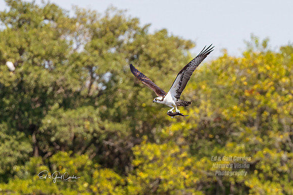 R5 2024-03-17-8369-Edit