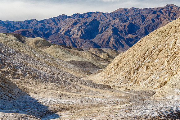 7D2E 2022-01-29-0307-Edit