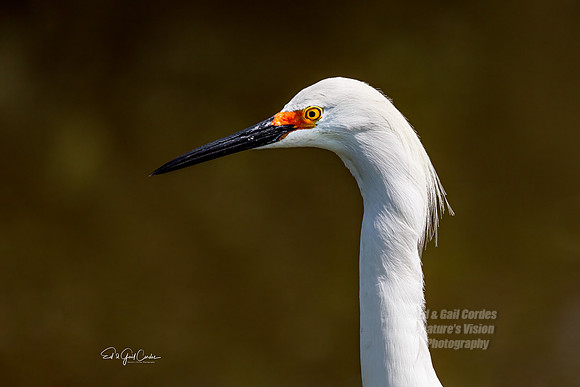 R5 2024-03-17-8283-Edit