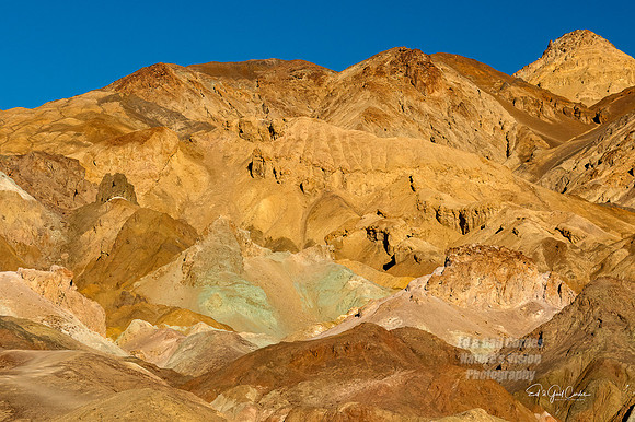 7D2E 2022-01-29-0099-Edit