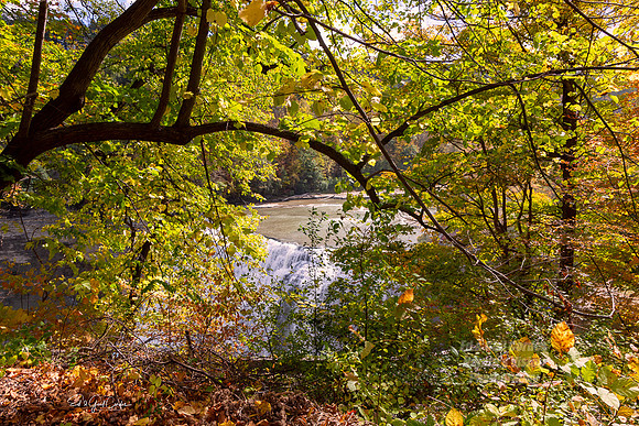 R5 2024-10-10-2851-Edit