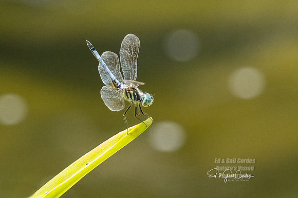 R7 2022-08-04-0165-Edit