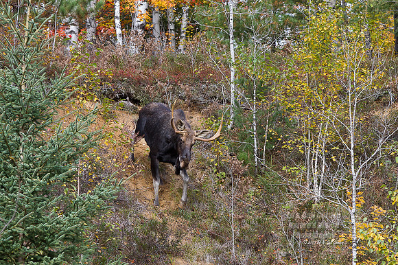 7D 2010-09-27-7308