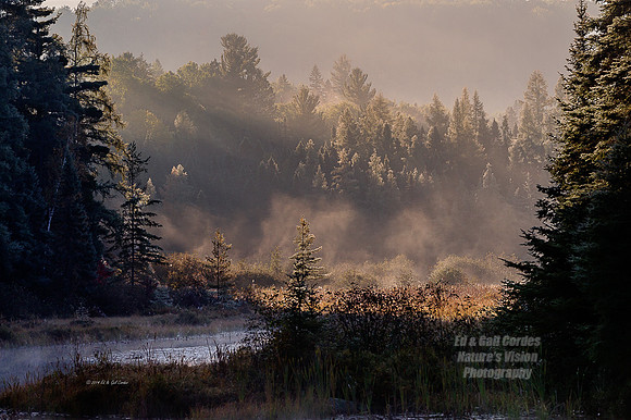 1D4 2014-09-26-1899SoftLight