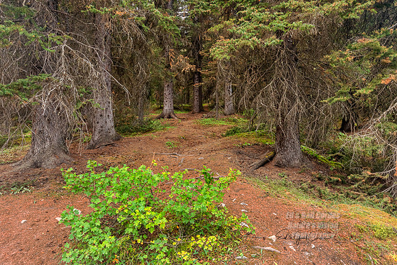 R5 2022-09-20-4398-Edit
