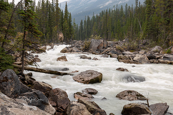 R5 2022-09-20-4494-Edit