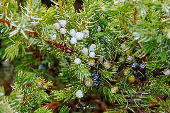 R7 2022-09-20-0902-Edit