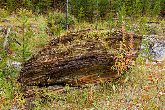 R7 2022-09-20-0925-Edit
