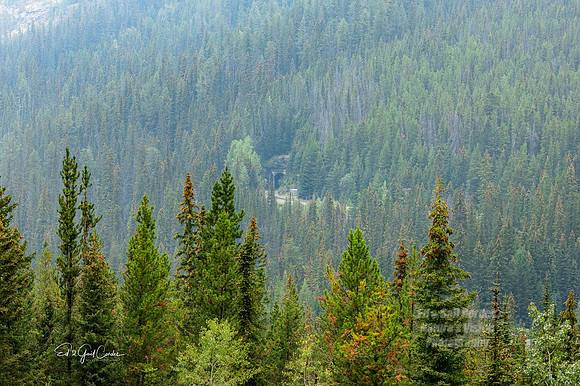 R7 2022-09-20-0957-Edit