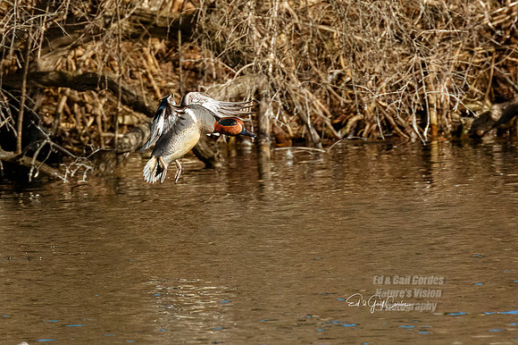 7D2E 2022-02-21-0649-Edit