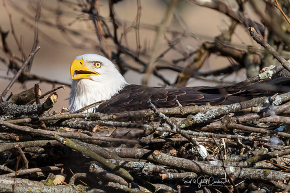 R5 2022-03-06-1376-Edit