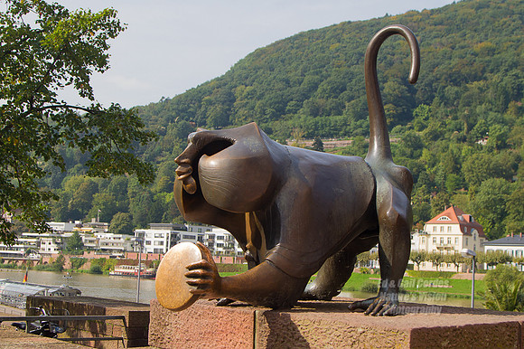 7D 2013-09-26-3339