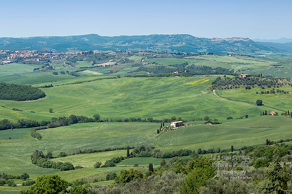 1D4 2015-05-12-4129