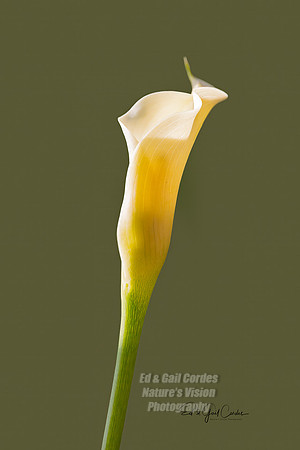 R5 2025-05-30-5261-Edit