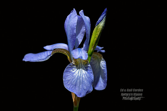 R5 2025-05-30-5264-Edit