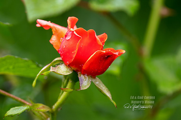 R5 2025-06-06-5302-Edit