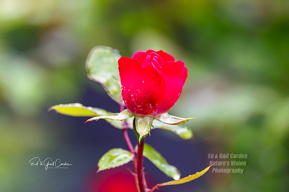 R5 2025-06-06-5304-Edit