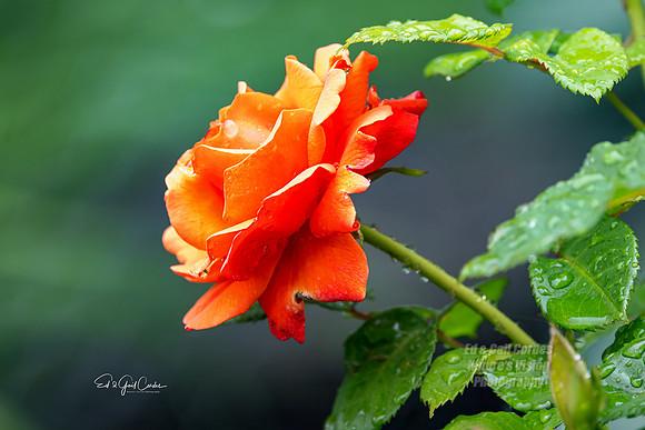 R5 2025-06-06-5305-Edit