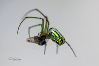 R5 2025-07-09-5399-Edit