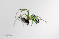 R5 2025-07-09-5402-Edit