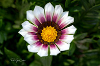 R5 2025-07-09-5404-Edit