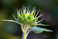R5 2025-08-03-5451-Edit
