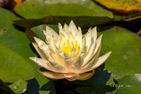 R5 2025-08-03-5455-Edit