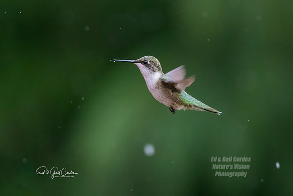 R5 2025-09-09-5816-Edit