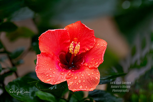 R5 2025-09-09-5813-Edit