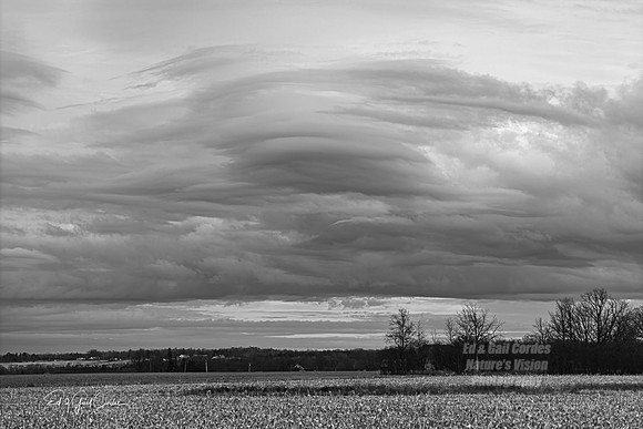 R5 2025-12-22-5823-B&W