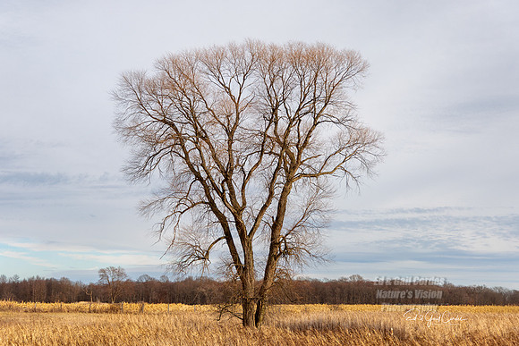 R5 2025-12-22-5820-Edit