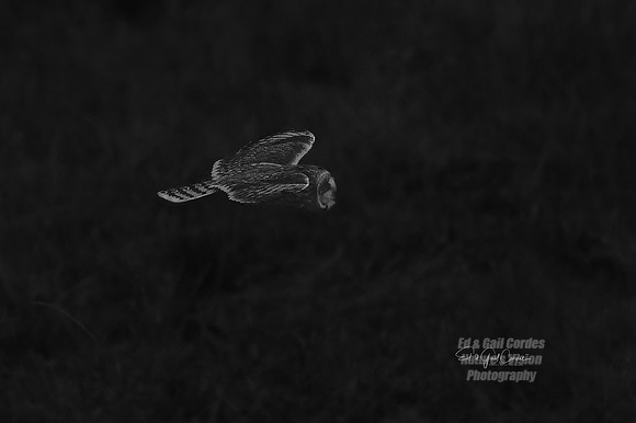 R5 2025-12-22-5849-B&W 2