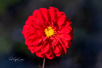 R5M2 2025-10-05-0338-Edit