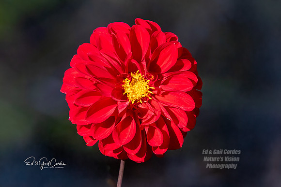 R5M2 2025-10-05-0338-Edit