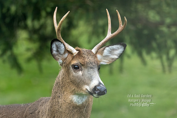 R5M2 2025-11-28-0385-Edit