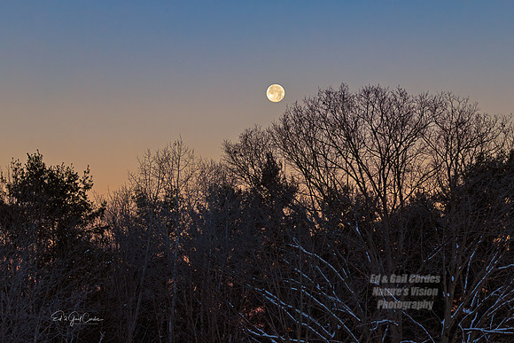 R5M2 2025-12-05-0399-Edit