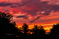 R7 2025-07-09-8851-Edit