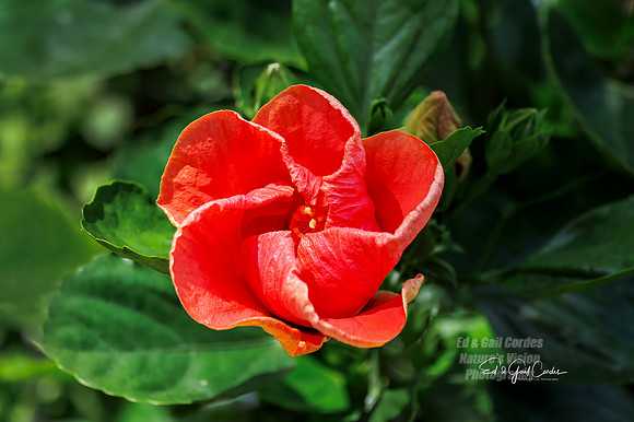 R7 2025-08-03-8914-Edit