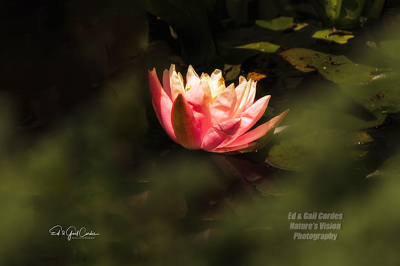 R7 2025-08-03-8917-Edit