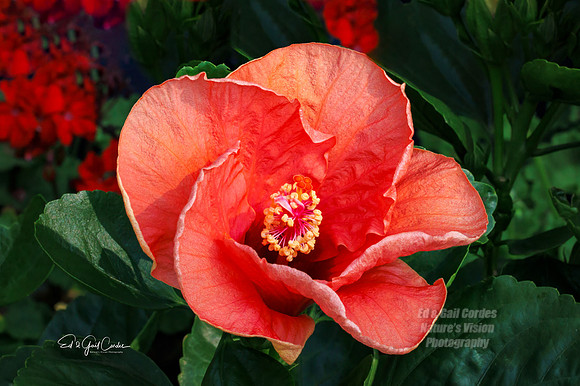 R7 2025-08-03-8951-Edit