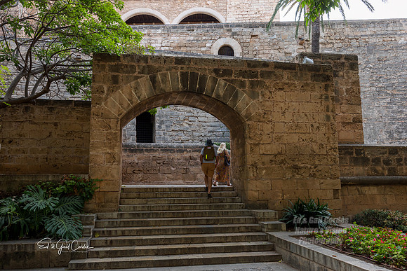 R5 2025-08-30-5481-Edit