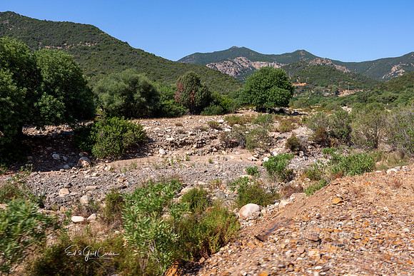 R5 2025-08-30-5573-Edit
