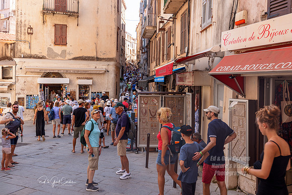 R5 2025-08-30-5640-Edit
