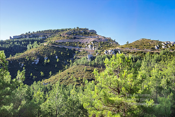 R5 2025-08-30-5783-Edit