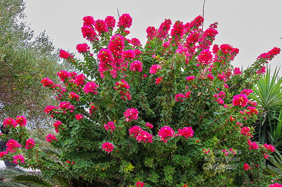R7 2025-08-30-9121-Edit