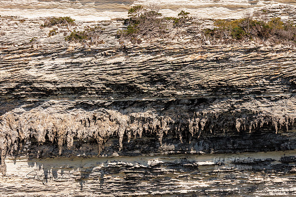 R7 2025-08-30-9206-Edit