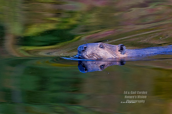 7D 2014-09-26-9801