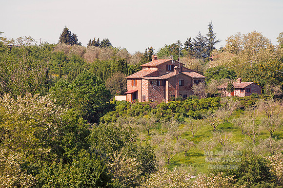 1D4 2015-05-12-4109