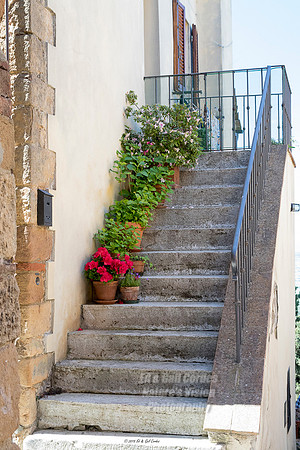 7D2 2015-05-12-3304
